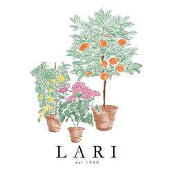 Floricoltura Lari, Camaiore orari di apertura