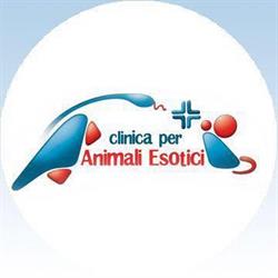 Clinica per Animali Esotici, Roma orari di apertura