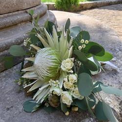 Ikebana di Finicola Sarro, Avellino orari di apertura