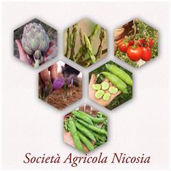 Società Agricola Nicosia, Regalbuto orari di apertura