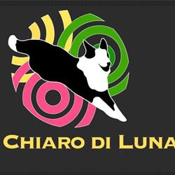 Centro Cinofilo al Chiaro di Luna, Cittadella orari di apertura