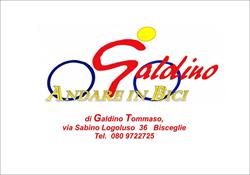ANDARE IN BICI di Galdino Tommaso, Bisceglie orari di apertura
