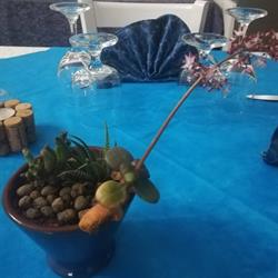 Ristorante - Le Zagare, Porto Cesareo orari di apertura
