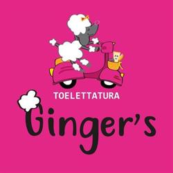 Ginger's Toelettatura, Calcinato orari di apertura