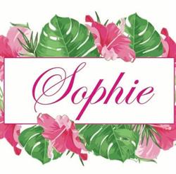 Sophie 0-16, Abano Terme orari di apertura