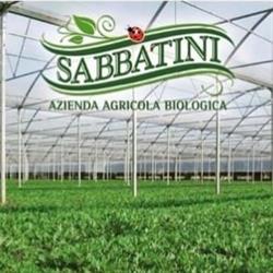 Azienda agricola Sabbatini, Bellizzi orari di apertura