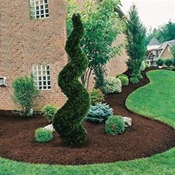 Fulli Garden, Anguillara Sabazia orari di apertura