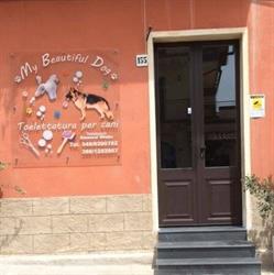 My Beautiful Dog, Giarre orari di apertura
