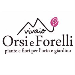 Vivaio Orsi e Forelli, Santa Maria orari di apertura