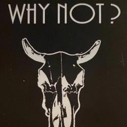 Why Not?, San Polo Matese orari di apertura