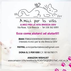 A.mici per la vita Brescia ODV, orari di apertura