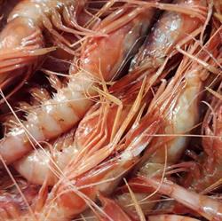 Tammaro, Napoli orari di apertura