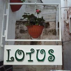 Lotus Abbigliamento & Souvenirs, Ostuni orari di apertura