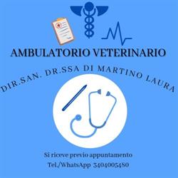 Ambulatorio Veterinario Dott.ssa Di Martino Laura, Torregrotta orari di apertura
