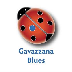 Gavazzana Blues Cassano Spinola, Gavazzana - Orari di apertura