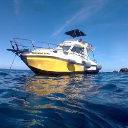 Taxiboatelba, Marina di Campo orari di apertura
