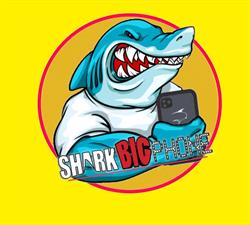 SharkBigPhone, Napoli orari di apertura