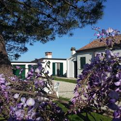 podere67 Porto Tolle, Bonelli - Orari di apertura