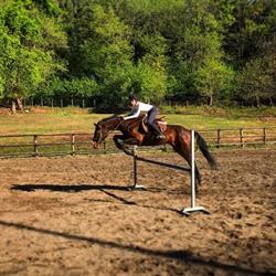 Lonee Ranch A.S.D., Parè orari di apertura