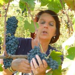 Calcinara Azienda Agricola, Sesta Godano orari di apertura