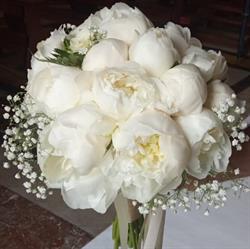 Fiori E Decori, Acireale orari di apertura