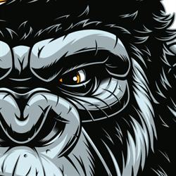KingFit, Seriate orari di apertura