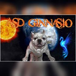 Palestra Ginnasio, Trino orari di apertura