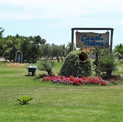 Adamo Eventi, Nettuno orari di apertura