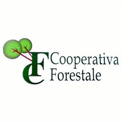 F.C. Legnami Cooperativa Forestale, Ferentino orari di apertura