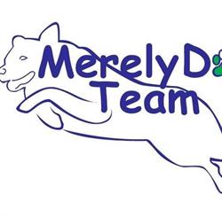 Merely Dog Team Agility Dog, Brebbia orari di apertura