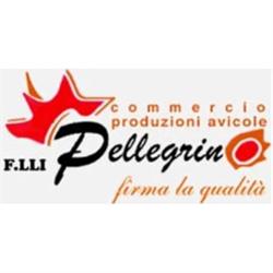 Pellegrino Fratelli, Lequile orari di apertura