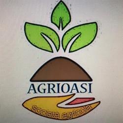 Agrioasi Società Agricola Ficcadenti, Ladispoli orari di apertura