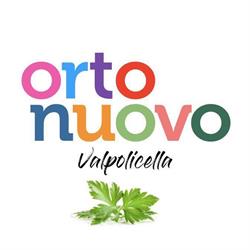 Ortonuovo Srl Negrar di Valpolicella, Arbizzano - Orari di apertura