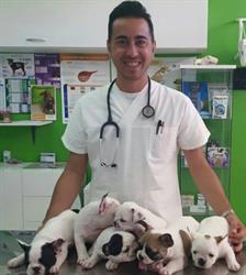 Ambulatorio Veterinario Meduri Dott. Giuseppe, Floridia orari di apertura