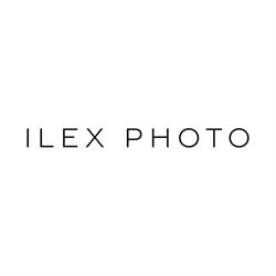 ILEX Gallery, Roma orari di apertura