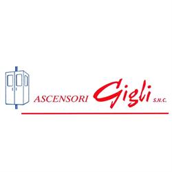 ASCENSORI GIGLI S.n.c., Milano orari di apertura