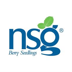 Nova Siri Genetics SRL, Policoro orari di apertura