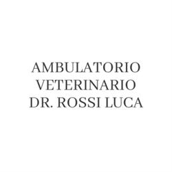 Ambulatorio Veterinario Rossi Dr. Luca, Porto Sant'Elpidio orari di apertura