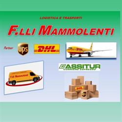Logistica E Trasporti Fratelli Mammolenti, Grotteria orari di apertura