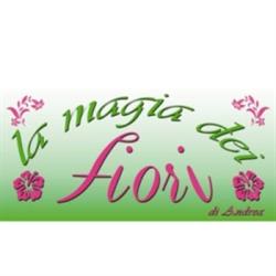 La Magia Dei Fiori Di Andrea Di Andrea Forte, Gioia del Colle orari di apertura