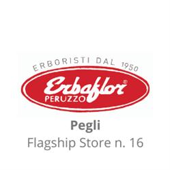 Erbaflor Peruzzo Srl, Genova orari di apertura