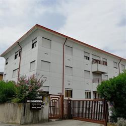 Centro Servizi Veneto Srl, Verona orari di apertura
