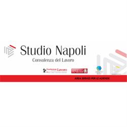 Studio di Consulenza del Lavoro Napoli Giusi, Sant'Agata di Militello orari di apertura