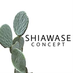Shiawase, Ciriè orari di apertura