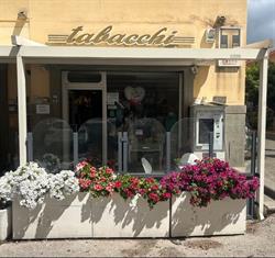 Tabaccheria Porcari, Grottaferrata orari di apertura