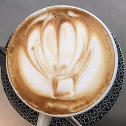 Bar Non Solo Caffè, Milano orari di apertura