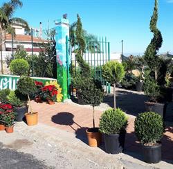 Flower Garden di Palazzolo, Cinisi orari di apertura