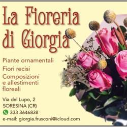 La Fioreria di Giorgia, Soresina orari di apertura