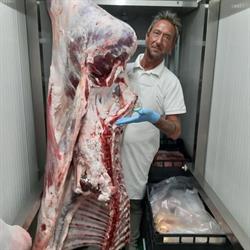Macelleria Cardea, Torino orari di apertura