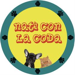 Nati Con La Coda, Foggia orari di apertura